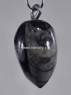 ortoceras, přívěšek