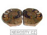 amonit, zkamenělina