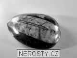ortoceras, zkamenělina