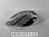 ortoceras, zkamenělina
