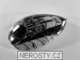 ortoceras, zkamenělina