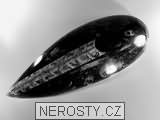 ortoceras, zkamenělina