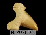 zub, zkamenělina