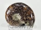 amonit, zkamenělina