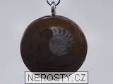 amonit, zkamenělina