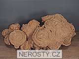 stromatolit, zkamenělina