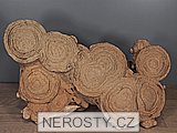 stromatolit, zkamenělina