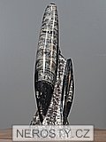 ortoceras, zkamenělina