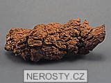 koprolit, zkamenělina