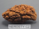 koprolit, zkamenělina