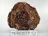 zkamenělé dřevo, obrázek minerálu